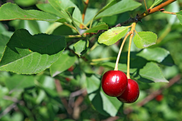 Similar image 889413