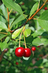 Similar image 889415