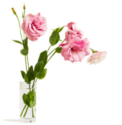 Similar image 889416