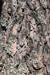 Similar image 889421