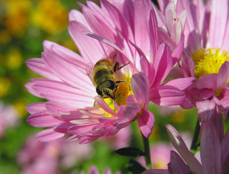 Similar image 889425