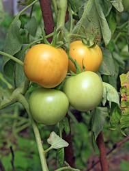 Similar image 889426