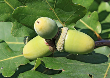 Similar image 889431