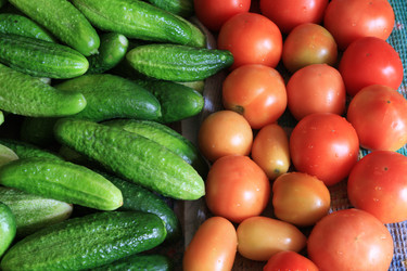 Similar image 889435