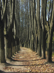 Similar image 889440