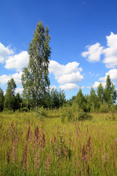 Similar image 889468