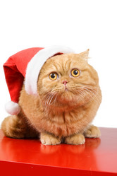 Similar image 889510