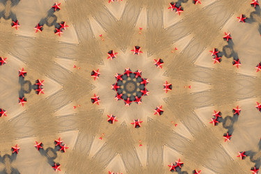 Similar image 889521