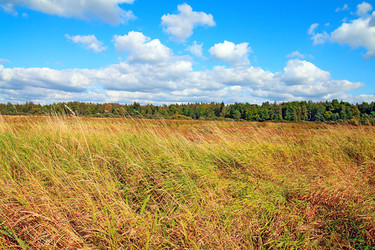 Similar image 889540