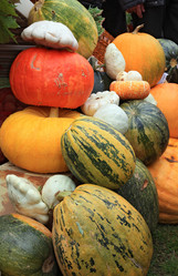 Similar image 889542