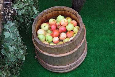 Similar image 889545