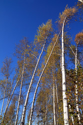 Similar image 889551