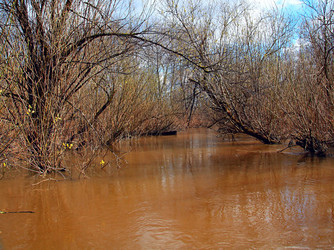 Similar image 889552