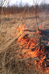 Similar image 889556