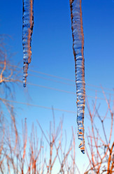 Similar image 889557