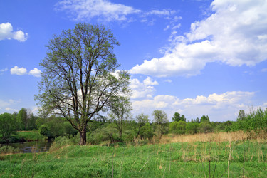 Similar image 889561