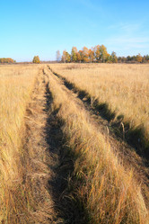 Similar image 889570