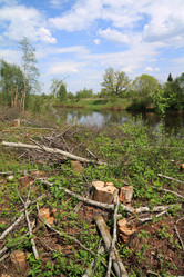 Similar image 889574