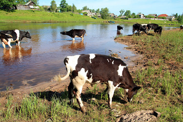 Similar image 889575