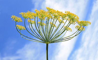 Similar image 889610