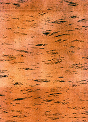 Similar image 889645