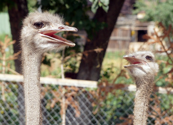 Similar image 889736