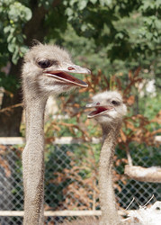 Similar image 889744