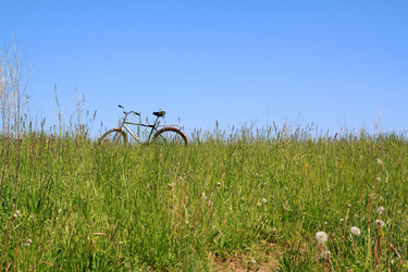 Similar image 889765