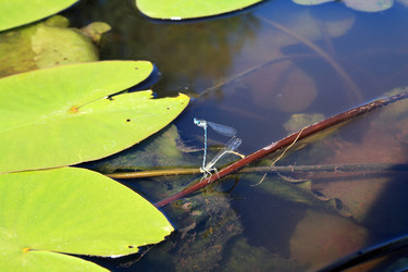 Similar image 889775