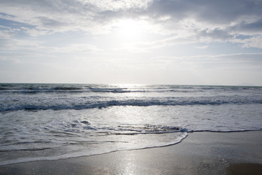 Similar image 889810