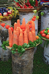 Similar image 889816