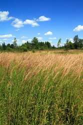 Similar image 889833