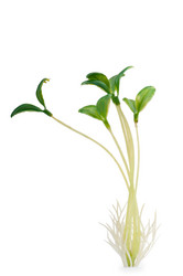 Similar image 889842