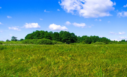 Similar image 889852