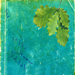 Similar image 889864