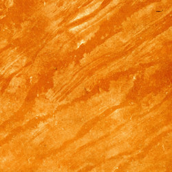 Similar image 889870