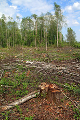 Similar image 889913