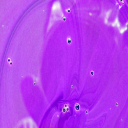 Similar image 889916