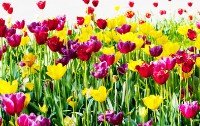 Similar image 889932