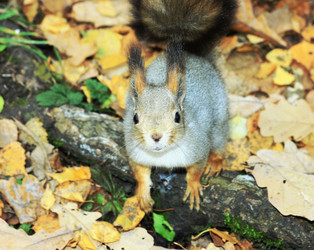 Similar image 889954