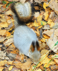 Similar image 889957