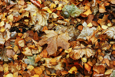 Similar image 889970