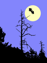 Similar image 889982