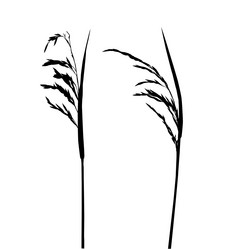 Similar image 890027