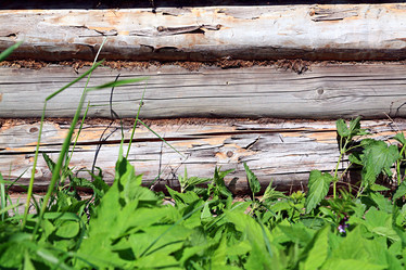 Similar image 890062