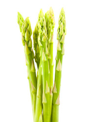 Similar image 890116