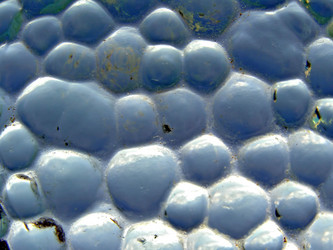 Similar image 890181