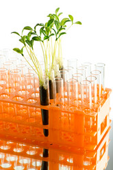 Similar image 890243