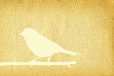 Similar image 890371