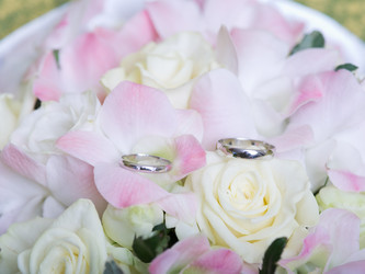 Similar image 890375